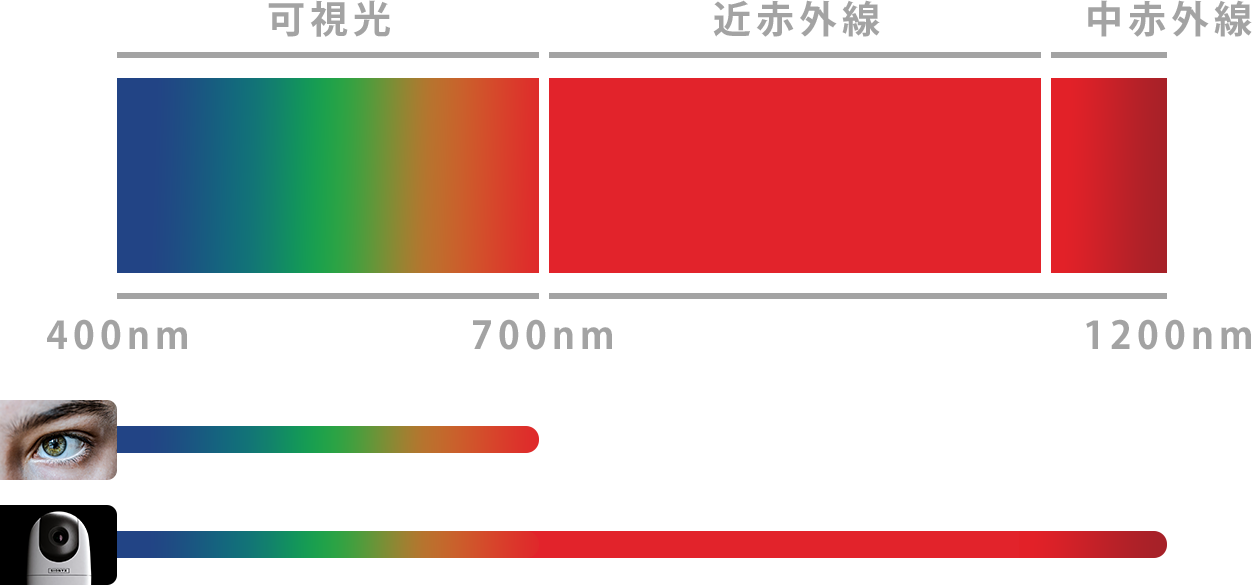 Nightwave（夜間航行用カメラ）